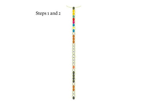 Illustration showing the order of seed beads to be strung in the first column